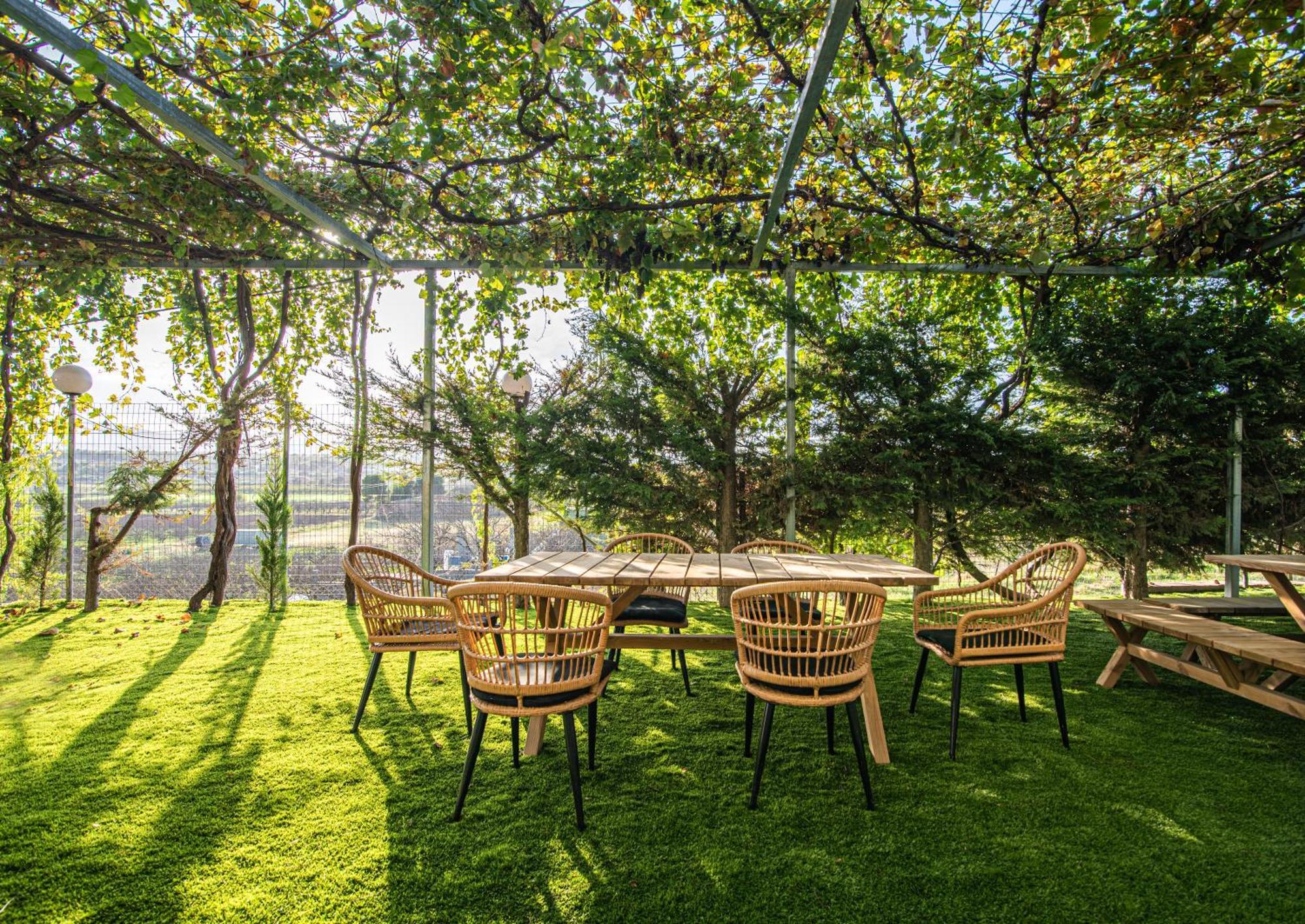 Kanela Apartment Oinofyta Екстериор снимка